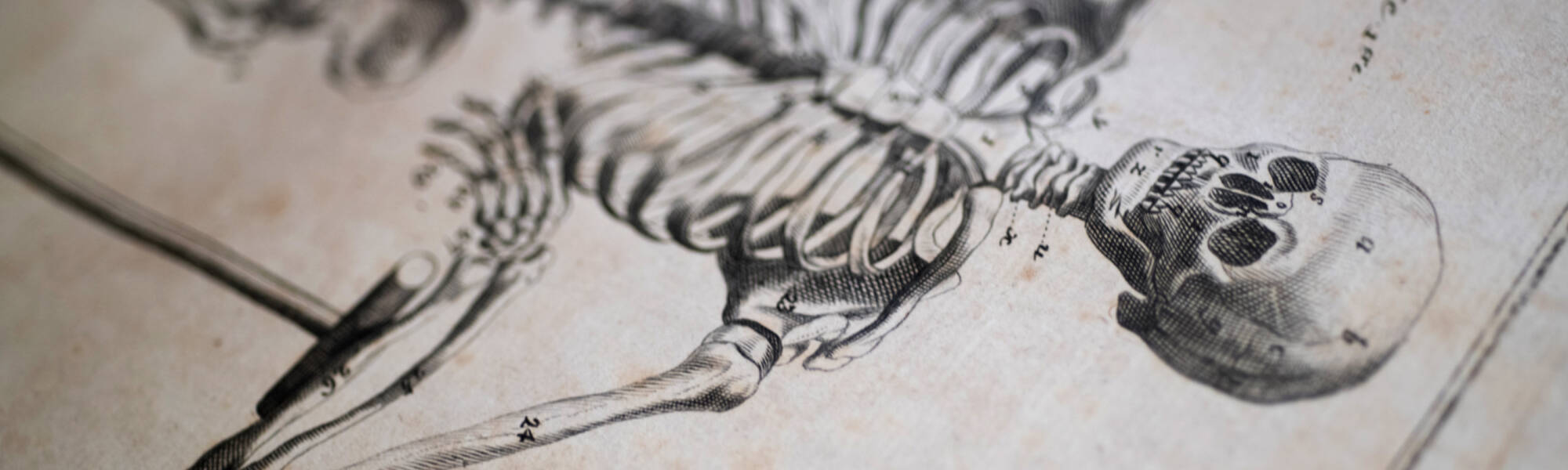 Summer Scholars student Ian Curtis is doing his research on the validity of plagiarism accusations regarding plates in the Encyclopédie (1751-72) which is housed in the Special Collections and University Archives in the Seidman Center on GVSU’s Alle...